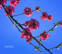 爱游戏体育-包含凲?S撌倉€?9p?m皶?FN欀$睊顡鐘编}磲bL\E|澓?|?爦鑄?U稘\)?q?fl擙熍p/n?的词条